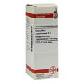Ceanothus Americanus D 4 Dilution (20 ml) – PZN 2112275