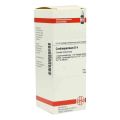 Cardiospermum D 4 Dilution (50 ml) – PZN 2895857