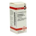 Caulophyllum Thalictroides C 4 Globuli (10 g) – PZN 4211001