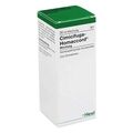 Cimicifuga Homaccord Tropfen (30 ml) – PZN 215605