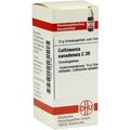 Collinsonia Canadensis C 30 Globuli (10 g) – PZN 7595195