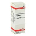 Eucalyptus Urtinktur (20 ml) – PZN 2613439