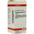 Equisetum Hiemale D 6 Tabletten (80 stk) – PZN 4216228