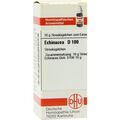 Echinacea Hab D 100 Globuli (10 g) – PZN 7456499