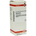 EUPHRASIA D 2, 50 ML – PZN 2613600