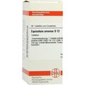 EQUISETUM ARV D12, 80 ST – PZN 2629995