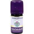 Eukalyptus Bio, 5 ML – PZN 4354002