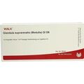 GLANDULA SUPR (MED) GL D 6, 10X1 ML – PZN 2877411