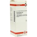 HAPLOPAPPUS D 6, 50 ML – PZN 2924116