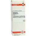IMPERATORIA OSTR URT, 50 ML – PZN 7247784