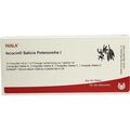 ISCUCIN SALICIS PR I, 10X1 ML – PZN 3083570