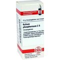KALIUM PHOS C 6, 10 G – PZN 7171360
