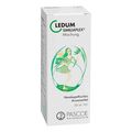 Ledum Similiaplex Tropfen (50 ml) – PZN 1353166