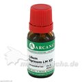 LILIUM TIGRINUM ARCA LM 12, 10 ML – PZN 3505025