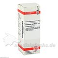 LEONURUS CARDIACA D 1, 20 ML – PZN 7248200