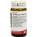 LEVISTICUM E RADICE D10, 20 G – PZN 8786454