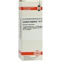 Lycopus Virg. D 12 Dilution (20 ml) – PZN 2617555
