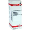Lycopodium C 12 Dilution (20 ml) – PZN 7173086