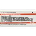 LM HYPERICUM VI, 5 G – PZN 2659401