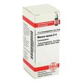 Marum Verum D 4 Globuli (10 g) – PZN 4226652