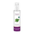 Oregatan Raumspray, 1 ST – PZN 13416707