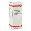 Perilla Ocymoides D 3 Dilution (50 ml) – PZN 2810660