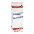 Plantago Major D 2 Dilution (20 ml) – PZN 2124054