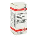 Plumbum Met. C 30 Globuli (10 g) – PZN 2929496