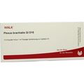 PLEXUS BRACHIALIS GL D15, 10X1 ML – PZN 3355086