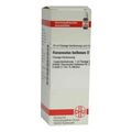 Ranunculus Bulbosus D 12 Dilution (20 ml) – PZN 4233801