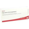 Pulpa dentis Gl Serienpackung II, 10X1 ML – PZN 847021