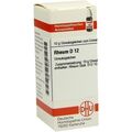 RHEUM D12, 10 G – PZN 7178741