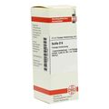 Scilla D 6 Dilution (20 ml) – PZN 2621580