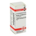 Secale Cornutum D 12 Globuli (10 g) – PZN 4236225