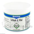 Schlank + Vital vet, 250 G – PZN 1138315