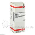 STROPHANTHUS D 4, 50 ML – PZN 2106702