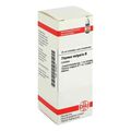 Thymus Vulg. Urtinktur (20 ml) – PZN 4240741