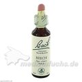 Bach-Blüte Beech, 20 ML – PZN 46634