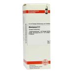 Abrotanum D 2 Dilution (50 ml)