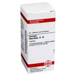 Calcium Fluoratum D 12 Tabletten (80 stk)