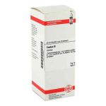 Cactus Urtinktur (50 ml)