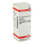 Cactus D 1 Dilution (20 ml)