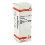 Cactus D 6 Dilution (20 ml)
