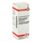 Calcium Carbonicum D 10 Dilution Hahnemanni (20 ml)
