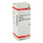 Cactus D 6 Dilution (50 ml)