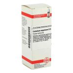 Caladium Seguinum D 6 Dilution (20 ml)