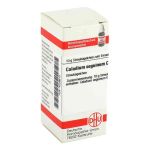 Caladium Seguinum C 30 Globuli (10 g)