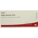 BULBUS OLFACTORIUS GL D 6, 10X1 ML