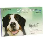 Capstar 57 mg Tabletten für grosse Hunde (6 stk)