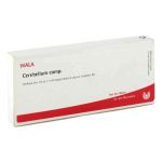 Cerebellum Comp. Ampullen (10X1 ml)